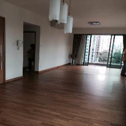 Park Infinia At Wee Nam (D11), Condominium #56248652